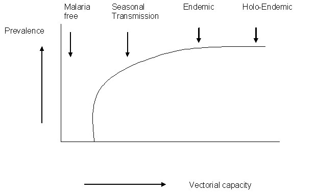 Vectoralcapacityt.jpg
