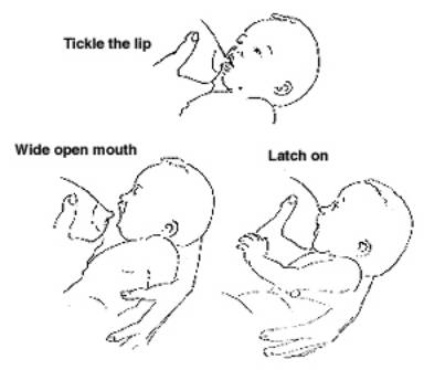 images of breastfeeding positions. reastfeeding positions.