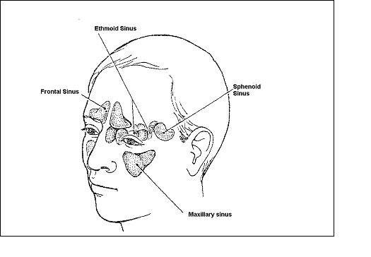 nasal catarrh coloring pages - photo #4