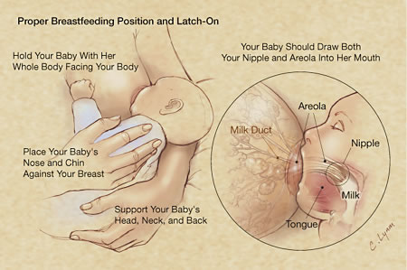 images of breastfeeding positions. to Breastfeeding/What is