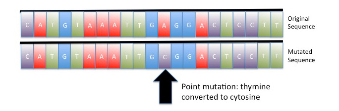 Image: Illustration of a point mutation