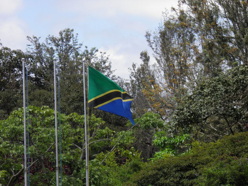 Tanzania flag.jpg
