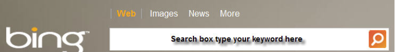 OP browser search-box.png