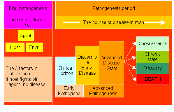Disease epidemiology homework infectious