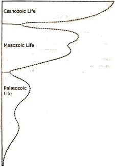 Adapted from life on the Earth by john Phillips