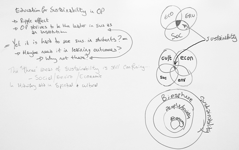 EfS in OP Reflections and models of Sustainability.jpg