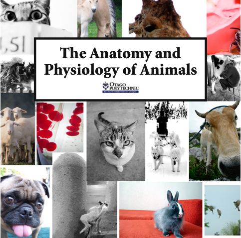 The Anatomy and Physiology of Animals - WikiEducator