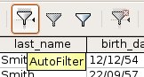 Oo-dbms-queries-filter-AutoFilter.jpg