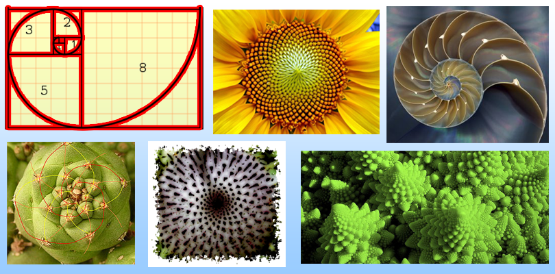 Fibonacci Sequence - WikiEducator