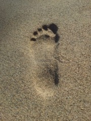Footprint in the sand.jpg