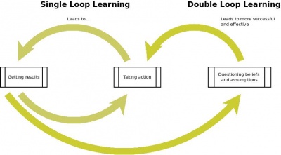 Single-loop and double-loop models in research on decision making