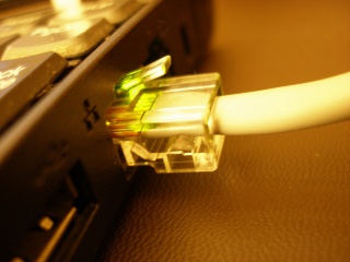 Ethernet cable closeup.jpg