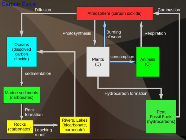 Biogeochemical Cycles Wikieducator