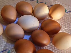 Eggs are contributing in malnutrition disease eradication in the World
