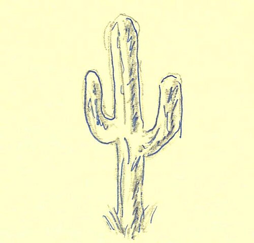 drawing of a seguaro cactus
