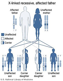 Illustration of X linked recessive inheritance