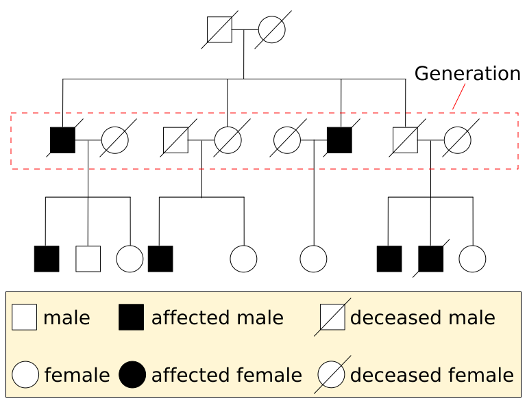 File:Pedigree-chart-example.svg
