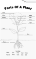 PlantDiagramAnswers.png