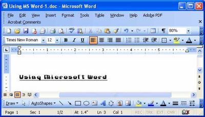 Microsoft Word 3 -  4