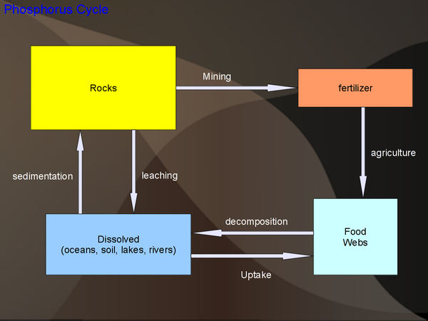 Biogeochemical Cycles Wikieducator