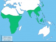 Image: Distribution of Old World Monkeys. Original blank map from http://d-maps.com/carte.php?num_car=3266&lang=en modified world map to show range of Old World Monkeys.