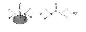 Chemistry - Reaction5.JPG