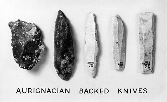 Image: Aurignacian Backed Knives (Wellcome M0011849)