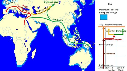 Image: Spread and Evolution of Denisovans
