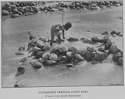 Indigenous Australian Fisherman 1902 Korensky
