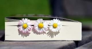 Flower-bookmarks.jpg