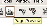 Figure 3. Print preview toolbar button
