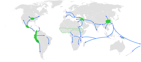 Centres of origin of agriculture and its spread in prehistory: eastern USA (4000-3000 BP), Central Mexico (5000-4000 BP), Northern South America (5000-4000 BP), sub-Saharan Africa (5000-4000 BP, exact location unknown), the Fertile Crescent (11000 BP), the Yangtze and Yellow River basins (9000 BP) and the New Guinea Highlands (9000-6000 BP).