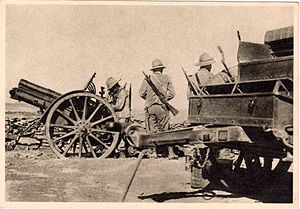 Italian Artillery in Ethiopia