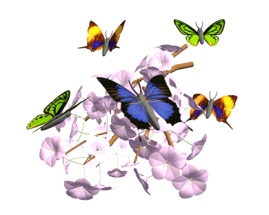 Butterfliesflowersanimation.gif