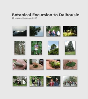 Botanical Excursion to Dalhousie in Himachal Pradesh, India