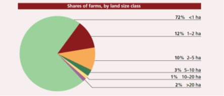 Shown are farms by farm size covering a total of about 460 million farms in 111 countries using data from the World Census of Agriculture. Source:FAO 2014, The State of Food and Agriculture, viewed 29/01/2019. Reproduced without alteration. Licensed under the under Creative Commons Attribution-NonCommercial-ShareAlike 3.0 IGO (CC BY-NC-SA 3.0 IGO).