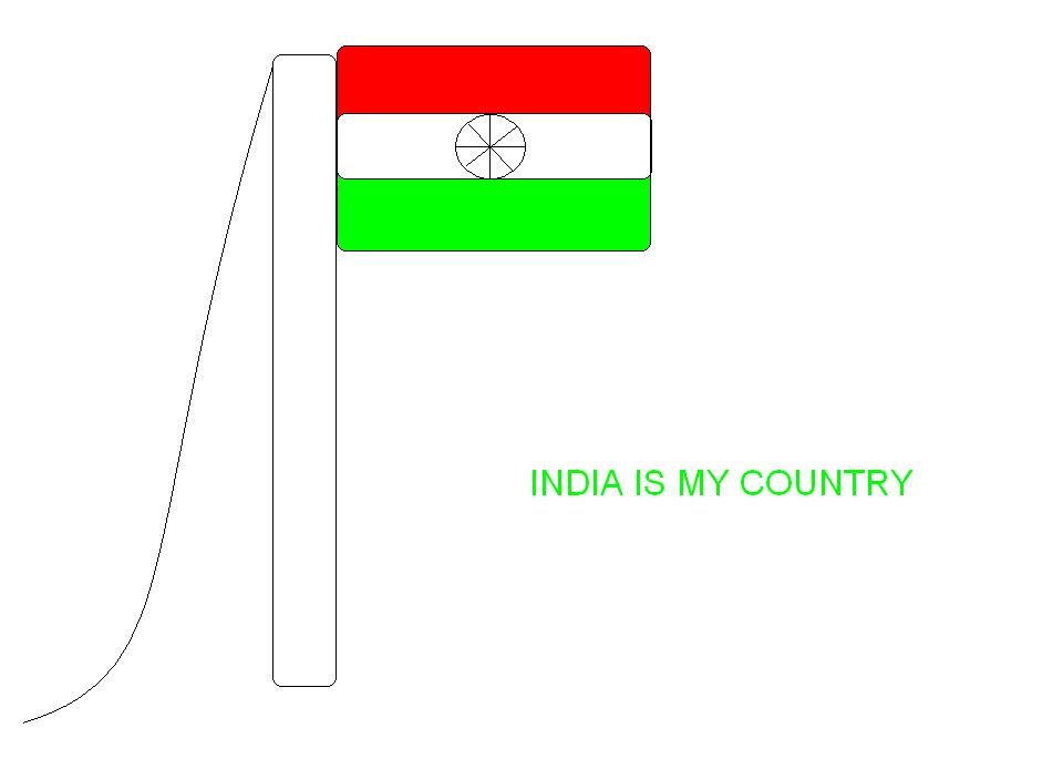 Indian flag.jpg