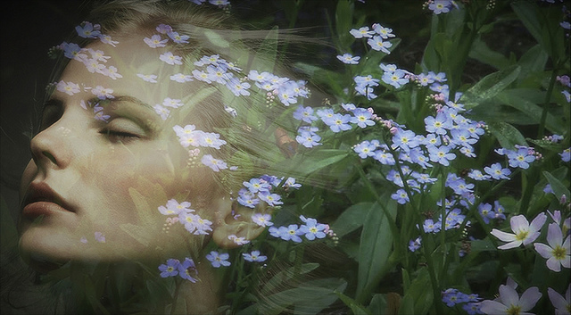Do not forget me.jpg