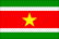 Suriname flag.gif