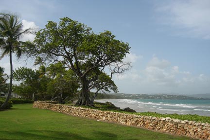 Tobago3.jpg
