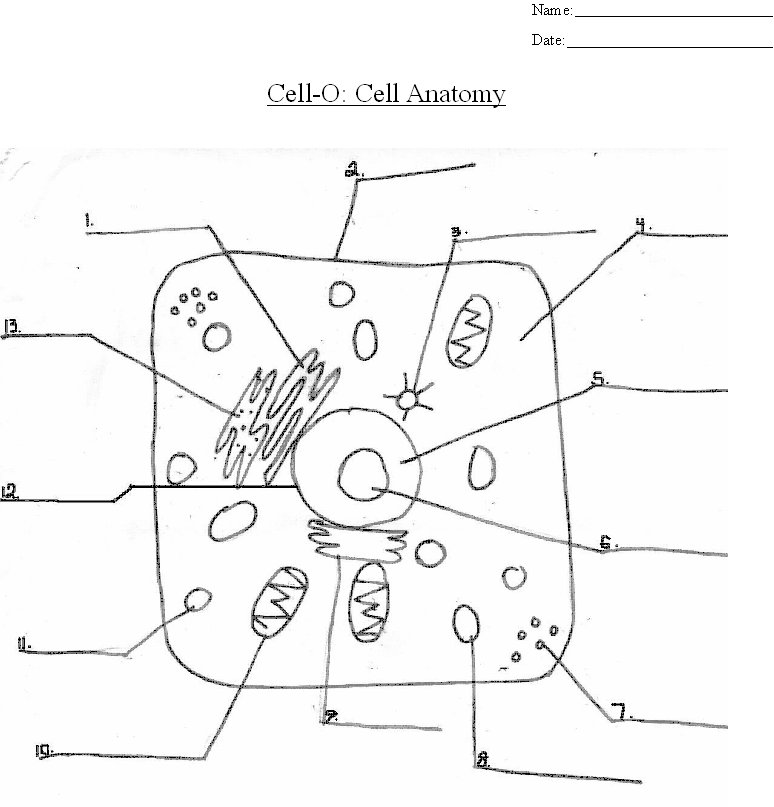 File:Cell.png - WikiEducator