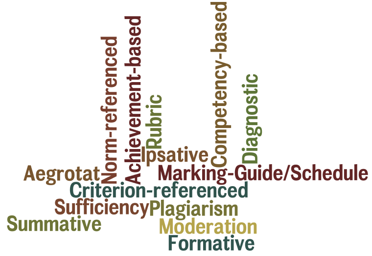 Assessment Terms created in Wordle