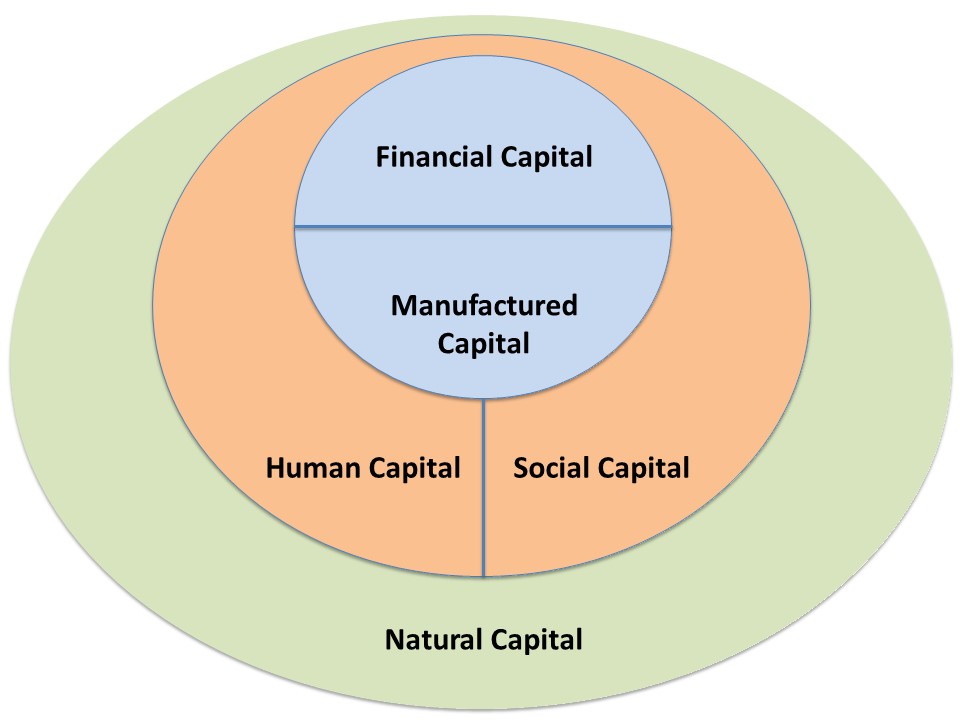 Модель 5 п. Модель 5p. Модель пяти капиталов. Five Capital LLP. Multiverse Capital MVC.