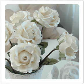 White rose.jpg