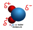 My water molecule.png