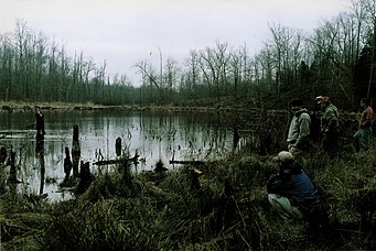 Cold-Dawn-at-Bakers-Pond.jpg