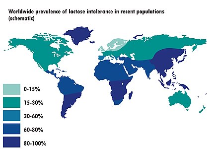 Image: Worldwide prevalence of lactose intolerance in recent populations.