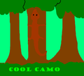 Cool Camo.png