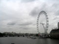 Eye of London.jpg