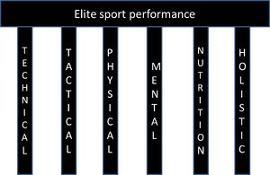 Six Pillars of Sports Performance.jpg